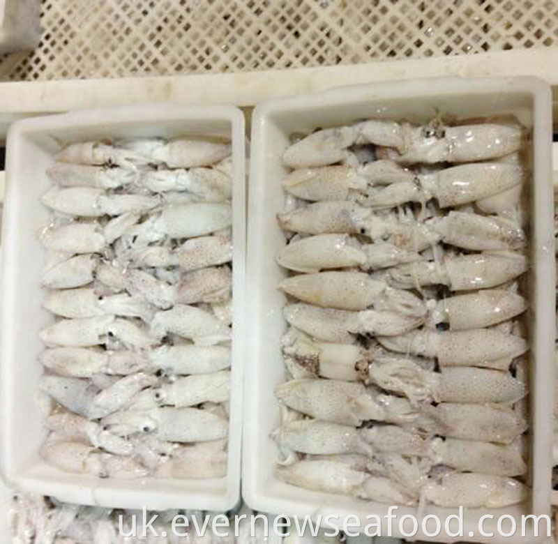 заморожені кальмари ліліго